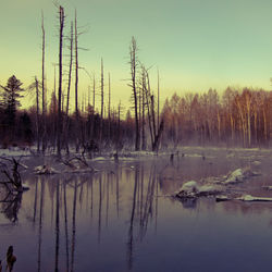 Scenic view of lake against sky during winter