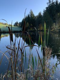 Scenic view of lake against clear sky