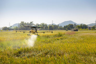 Scenic view of agricultural field against clear sky