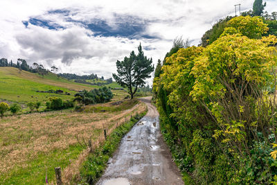 Road amidst trees against sky