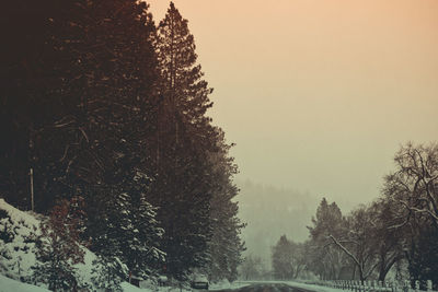 Trees on snow covered land against sky