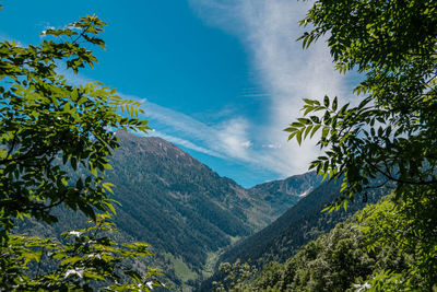 Scenic view of tree mountains against sky