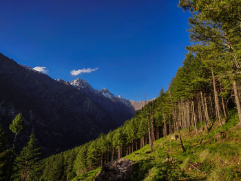 Scenic view of mountains against blue sky