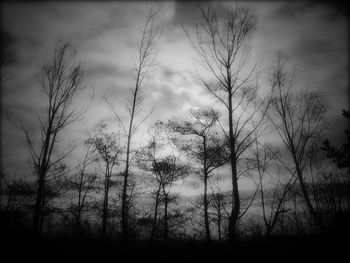 Bare trees against cloudy sky