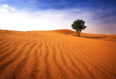 Scenic view of desert against sky