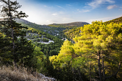 Scenic view of trees and mountains against sky