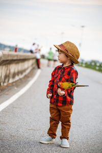 Boy feeding parrot while standing on street