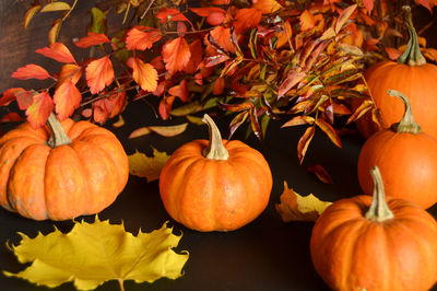 High angle view of pumpkin