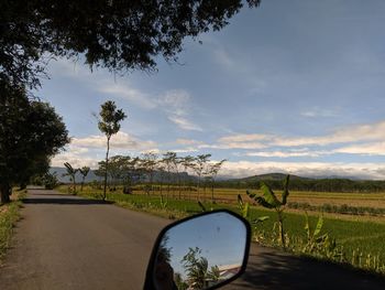 Road amidst trees on field against sky