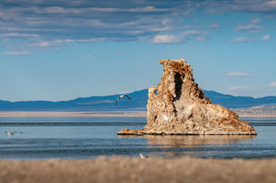 Bird flying by rock formation in lake against sky