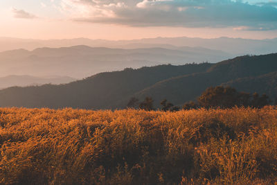 Scenic view of mountains against sky during sunset