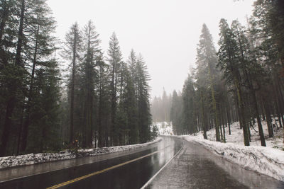 Road amidst trees in forest against sky