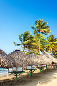 Palm trees and thatched roof parasols at beach against clear blue sky