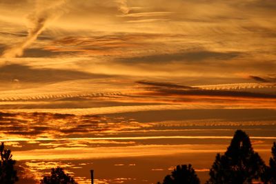 Low angle view of silhouette trees against romantic sky