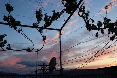 Low angle view of silhouette trees against sky during sunset