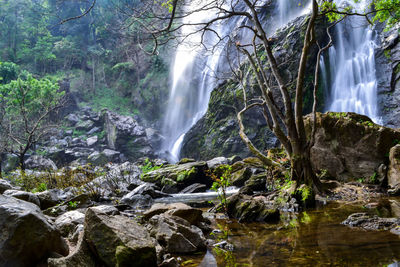 View of waterfall in forest