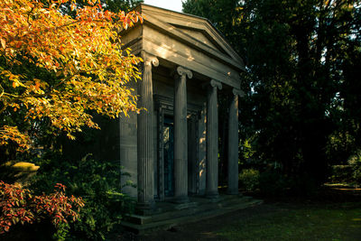 Trees and plants in park during autumn