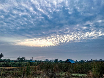 Scenic view of field against sky during sunset