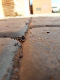 Close-up of surface level of wood