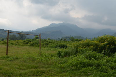 Scenic view of field against sky