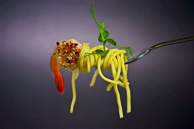 Close-up of yellow flowers over white background