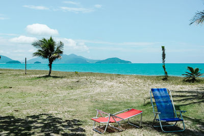 Chairs and palm trees on beach against sky