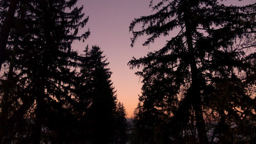 Low angle view of silhouette trees against sky at sunset