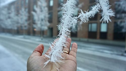 Close-up of person holding ice cream cone during winter