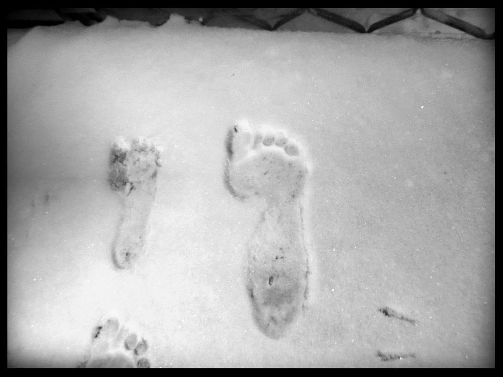 transfer print, auto post production filter, snow, cold temperature, winter, season, high angle view, weather, white color, sand, frozen, covering, nature, beach, footprint, day, outdoors, field, tranquility, white