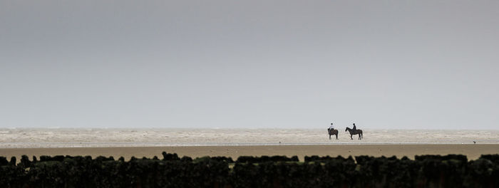 People walking on beach against clear sky