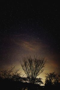 Low angle view of stars in sky