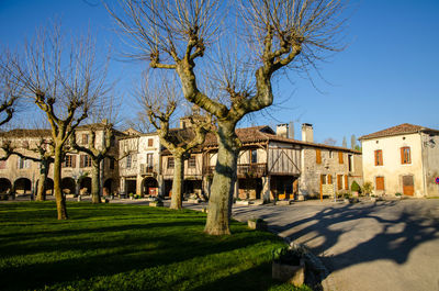 Bare trees and buildings against blue sky