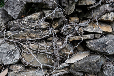 Full frame shot of rocks