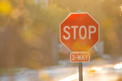 Close-up of road sign