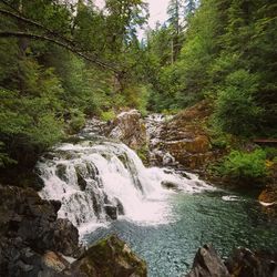 River flowing through rocks