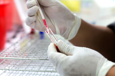 Cropped hand of scientist performing scientific experiment in laboratory