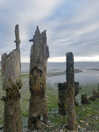 Wooden posts in sea against sky