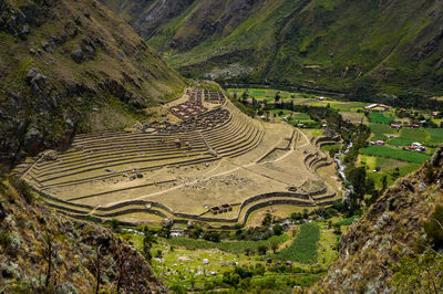 High angle view of agricultural field