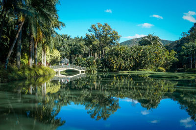 Reflection of trees in lake against sky