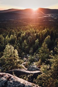 Scenic view of landscape against sky during sunset