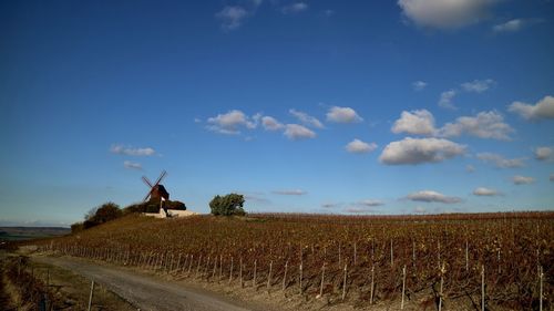 Man standing on field by road against sky