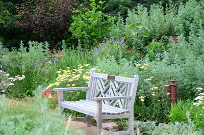 Empty chair in garden