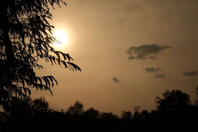 Low angle view of silhouette trees against sky during sunset