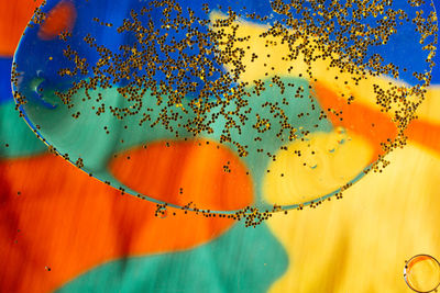 Full frame shot of water drops on orange leaf