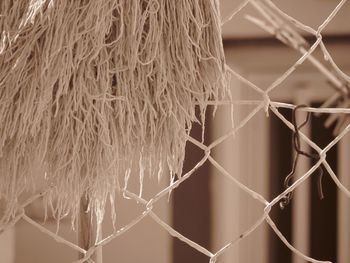 Close-up of chainlink fence