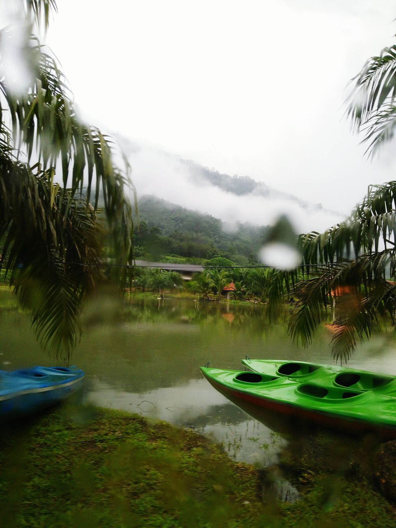 No people grass scenics Tranquility kayaks