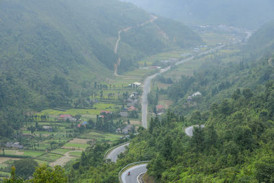 High angle view of trees and buildings