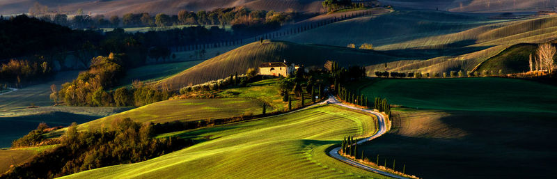 High angle view of trees on landscape