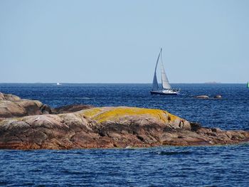 Sailboat sailing on sea against clear sky