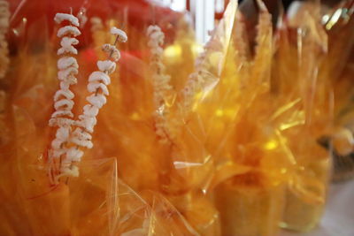 Full frame shot of orange fruit for sale